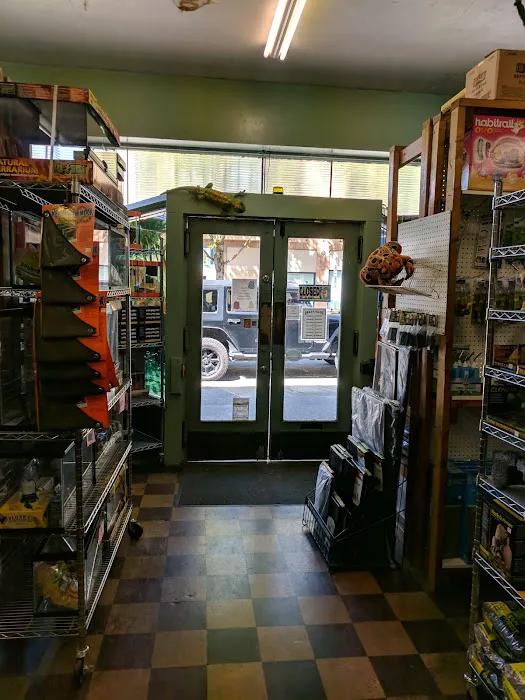 Tropical Hut Picture 9