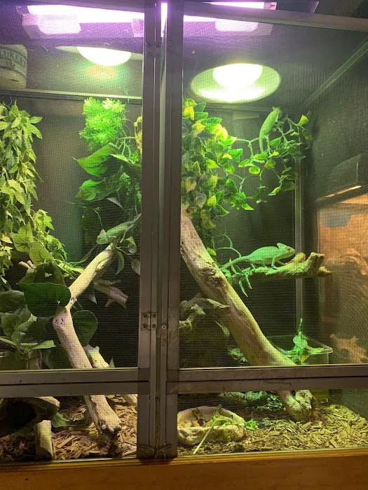 Tropical Hut Picture 10