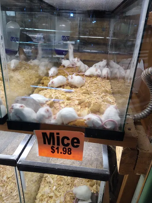 Tropical Hut Picture 6