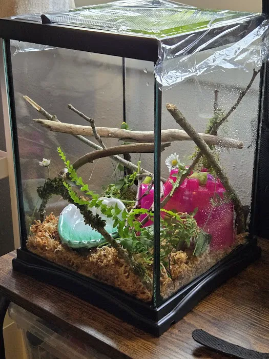 Secondhand Pet Supply Picture 1