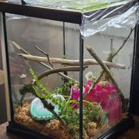 Secondhand Pet Supply ico