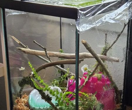 Secondhand Pet Supply