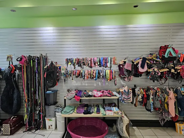 Secondhand Pet Supply Picture 5