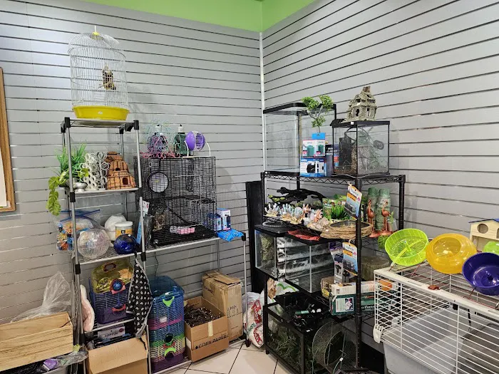 Secondhand Pet Supply Picture 8