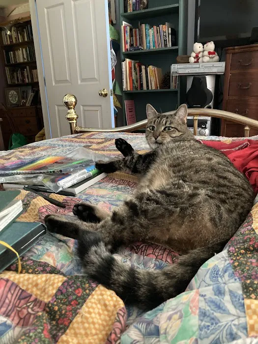 Winsted Hospital for Animals Picture 2