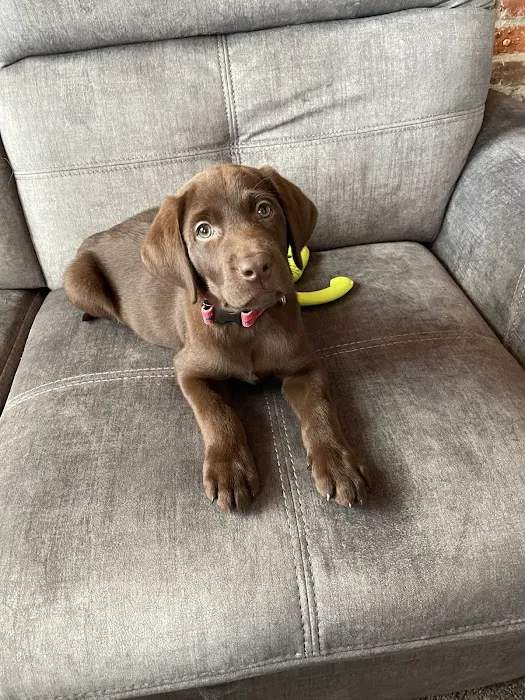 Winsted Hospital for Animals Picture 1