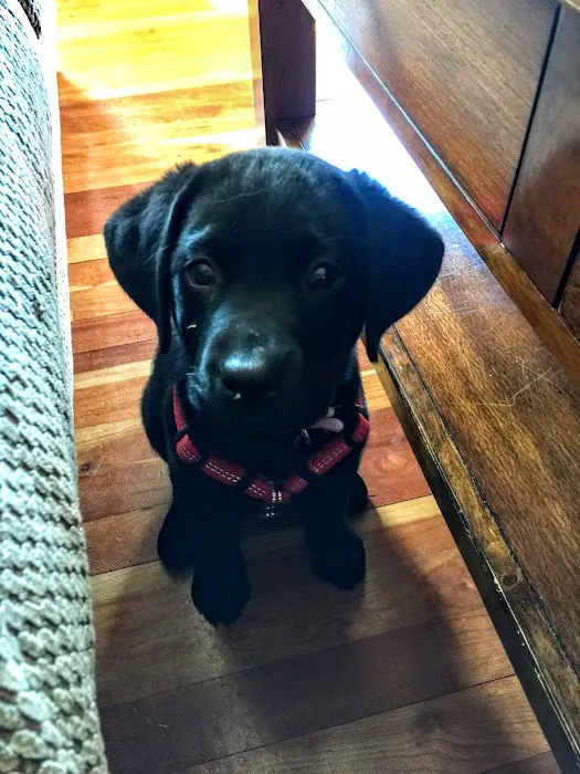 Winsted Hospital for Animals Picture 7