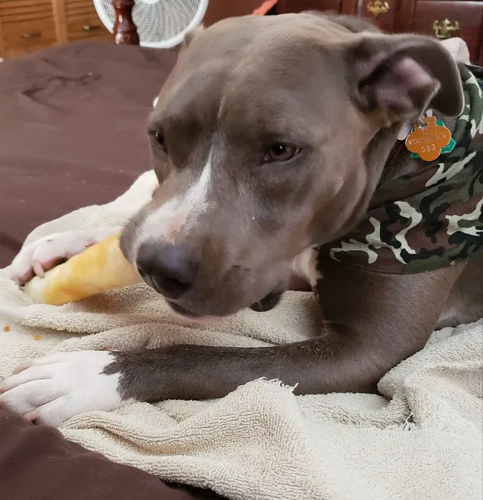 Winsted Hospital for Animals Picture 3