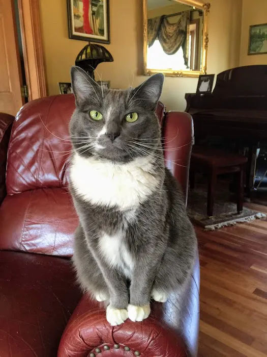 Winsted Hospital for Animals Picture 6