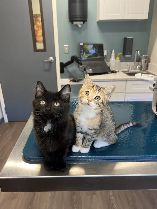 Winsted Hospital for Animals Picture 9