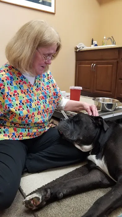 Animal Health Practice, Inc. Picture 1