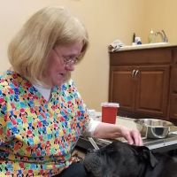 Animal Health Practice, Inc. ico