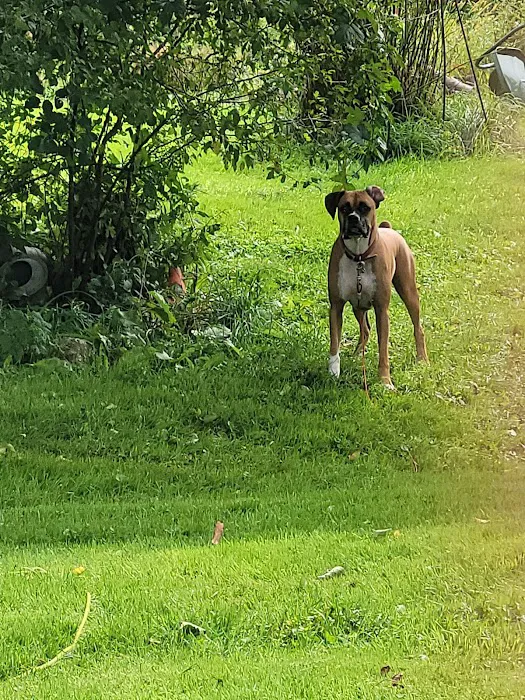 Williamsburg Animal Clinic Picture 2