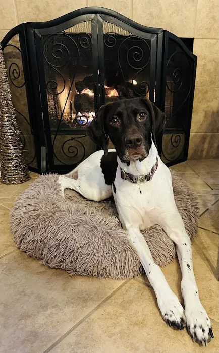 Williamsburg Animal Clinic Picture 6