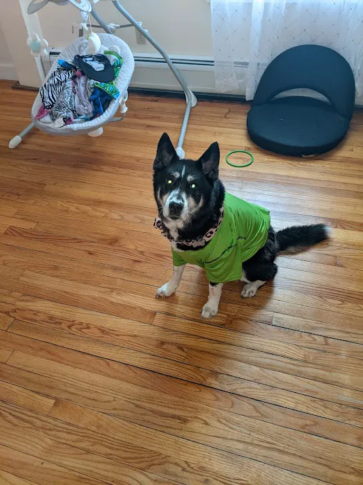 Williamsburg Animal Clinic Picture 10