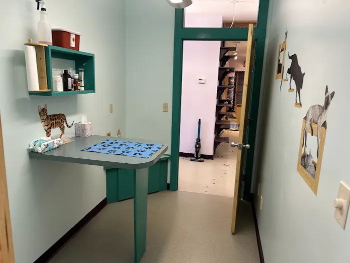 Williamsburg Animal Clinic Picture 9