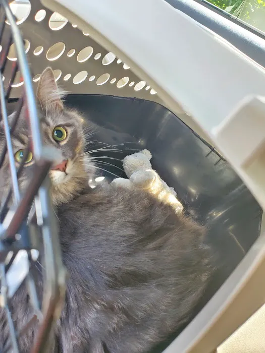 Williamsburg Animal Clinic Picture 5