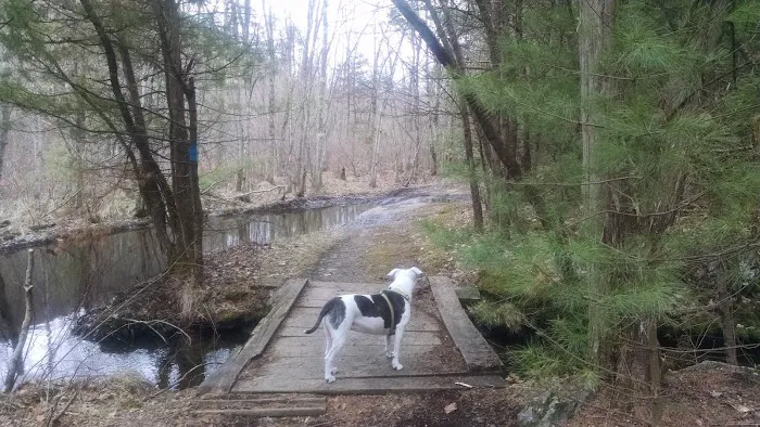 Williamsburg Animal Clinic Picture 3