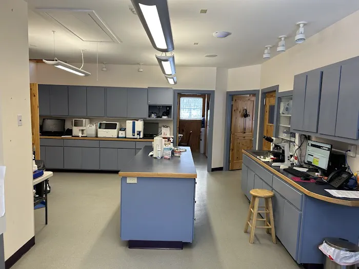 Williamsburg Animal Clinic Picture 4