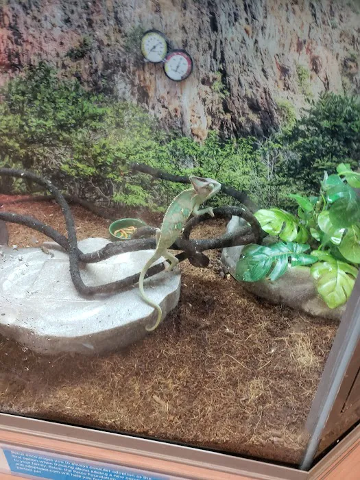 Petco Picture 5