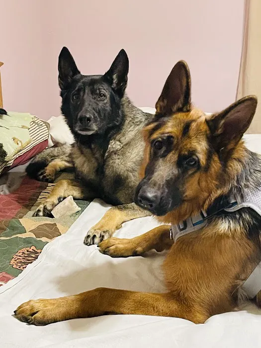 Family Veterinary Center Picture 4