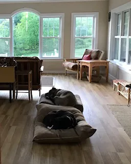 Family Veterinary Center Picture 3