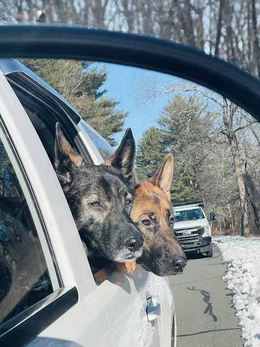 Family Veterinary Center Picture 5