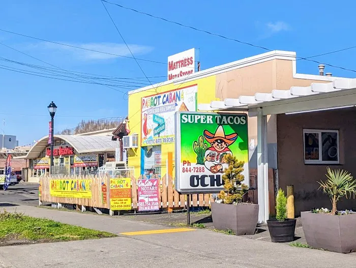 Parrot Cabana Picture 6