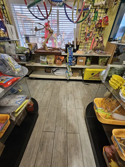 Parrot Cabana Picture 9