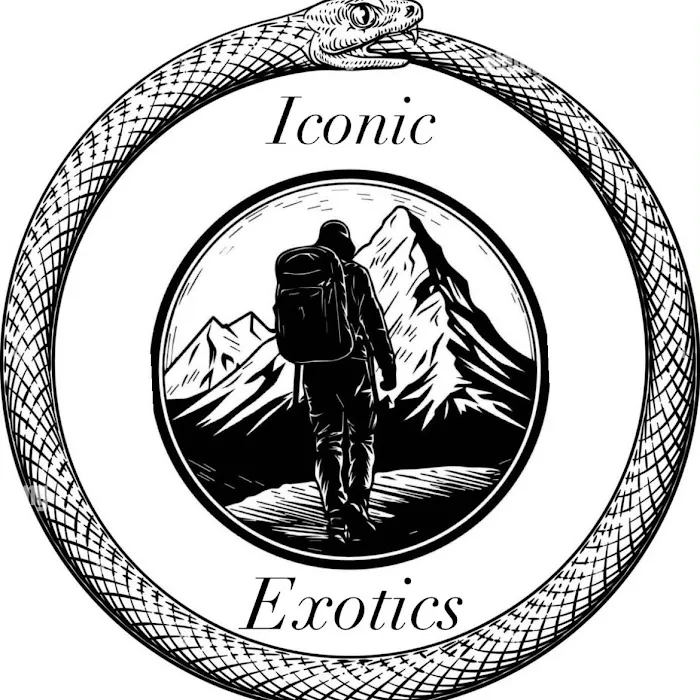 Iconic Exotics Picture 4