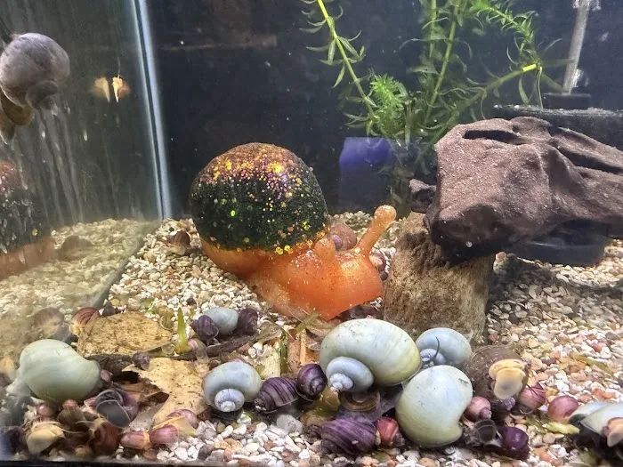 Aquatic Maintenance Store Picture 2