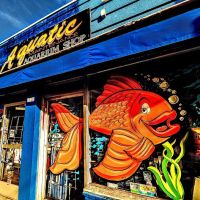 Aquatic Maintenance Store ico