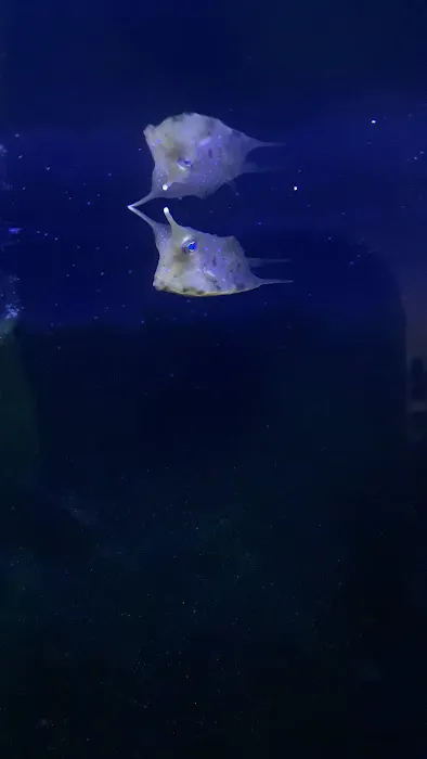 Aquatic Maintenance Store Picture 7