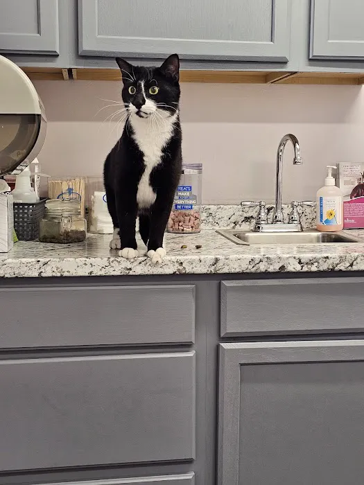 Tender Heart Vet Care PC Picture 10