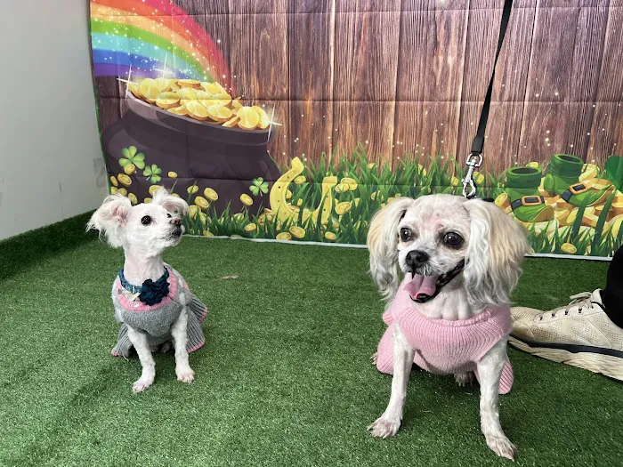 Tender Heart Vet Care PC Picture 5