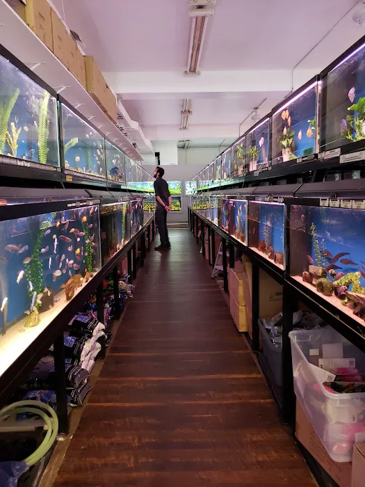 The Wet Spot Tropical Fish Picture 8