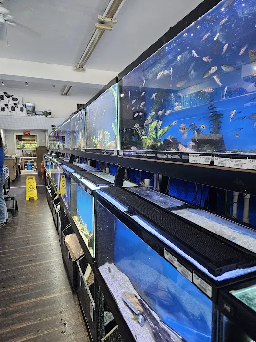 The Wet Spot Tropical Fish Picture 9