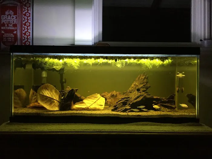 The Wet Spot Tropical Fish Picture 10