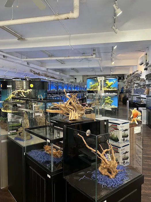 The Wet Spot Tropical Fish Picture 5