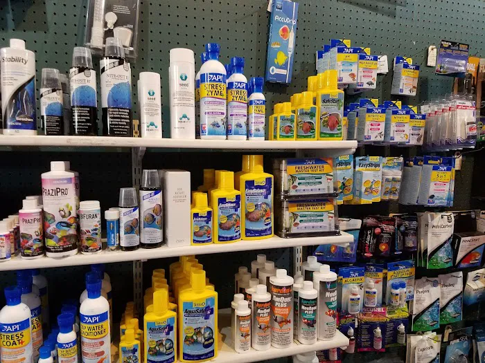 The Wet Spot Tropical Fish Picture 2