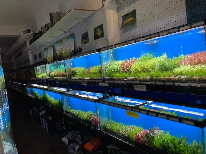 The Wet Spot Tropical Fish Picture 6