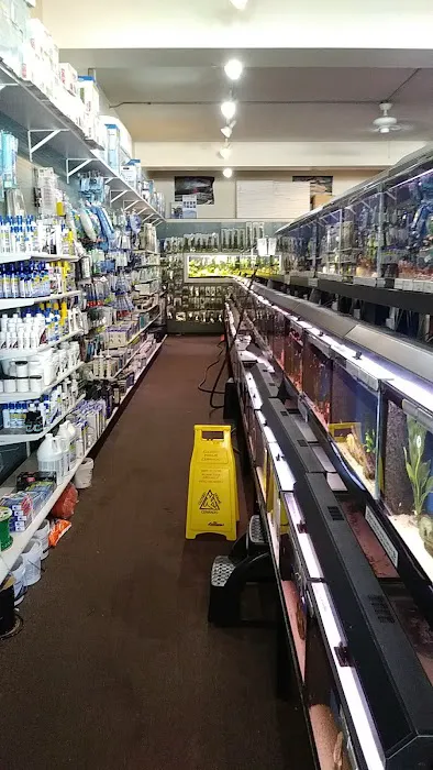 The Wet Spot Tropical Fish Picture 7