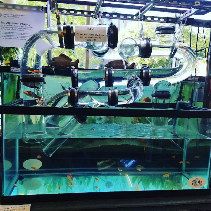 The Wet Spot Tropical Fish Picture 4