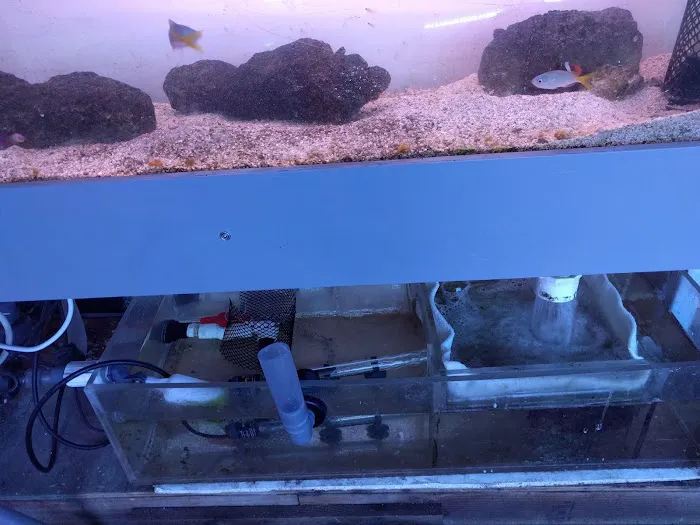 Woody's Seahorse Aquarium & Supply Picture 8