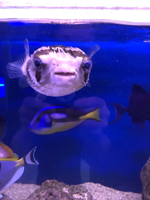 Woody's Seahorse Aquarium & Supply Picture 10