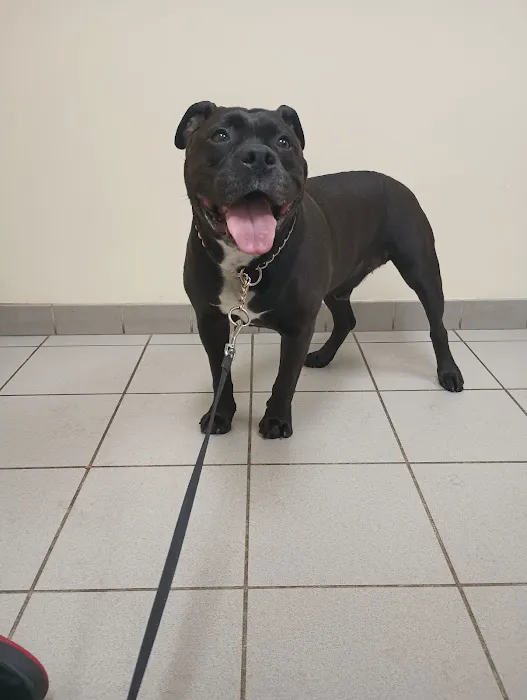 Gardner Animal Care Center Picture 4