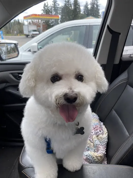 Furry Friends Picture 4