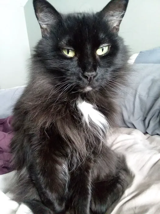 Wachusett Animal Hospital and Pet Retreat Picture 5