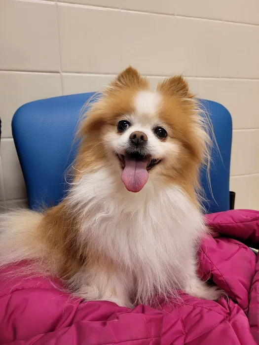 Monty Tech Veterinary Clinic Picture 2