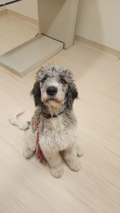 Monty Tech Veterinary Clinic Picture 5
